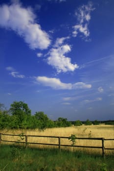 countryside landscape, summer time, trees fence clouds