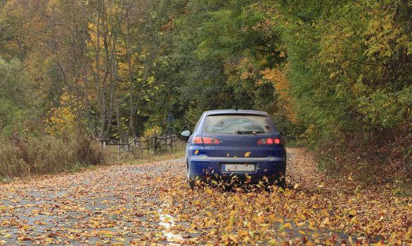 Image of a car on a rural autumn road full of colorful leaves.
