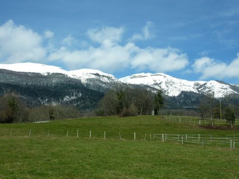 Green meadows and snowy mountain by beautiful day