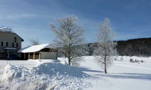 Frosty trees and houses surrounded by snowy landscape