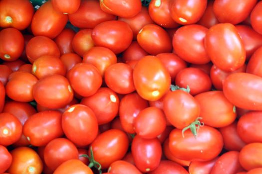 loads of Maltese Tomatoes for sale