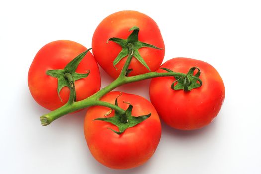 four red tomatoes on the stem, shot in studio on white, concept of freshness and purity