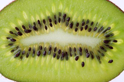 A macro shot of a backlit slice of kiwi, great detail and texture