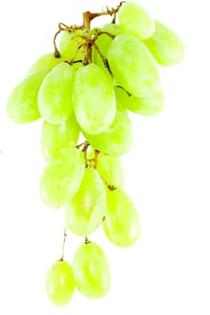 detail of a bunch of grapes on the white background