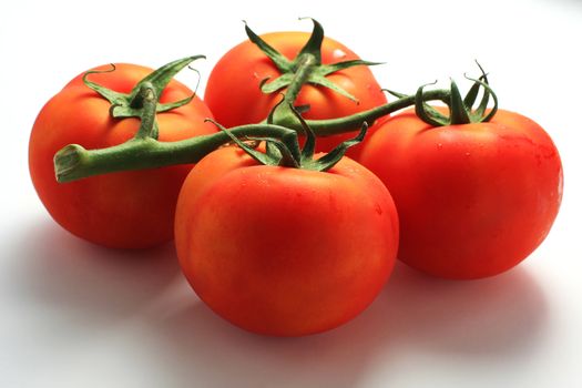 Four fresh red tomatoes on the stem, shot in studio isolated on white, perfect for concept of freshness and purity. Shot slightly above and to the side