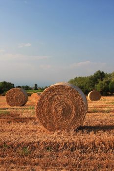 A close up of a hay bale on a corn field in Europe, shot in the warm afternoon sun, great warm feel to the image