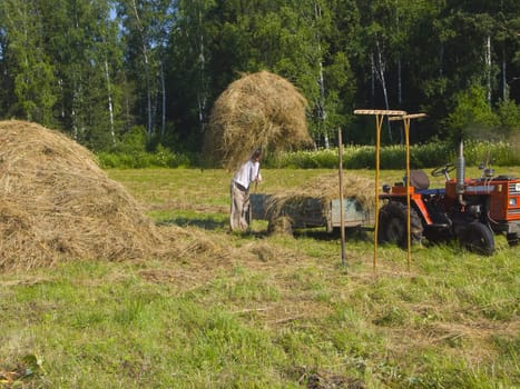 The image of preparation of hay peasants in Siberia