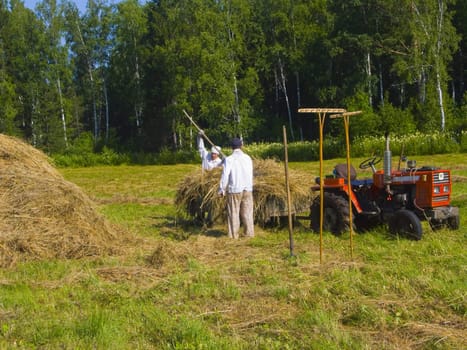 The image of preparation of hay peasants in Siberia