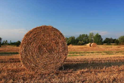 A close up of a hay bale on a corn field in Europe, shot in the warm afternoon sun, great warm feel to the image