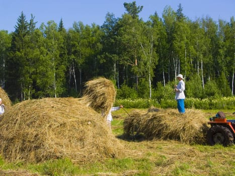 The image of preparation of hay peasants in Siberia