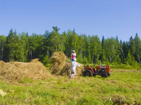 The image of preparation of hay peasants in Siberia