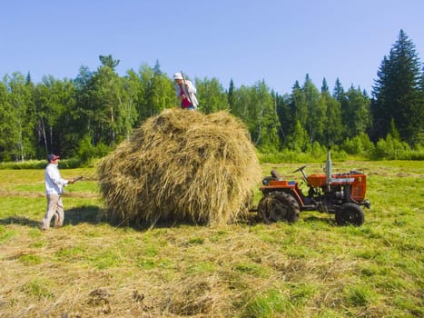 The image of preparation of hay peasants in Siberia