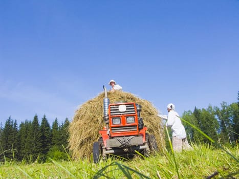 The image of preparation of hay peasants in Siberia