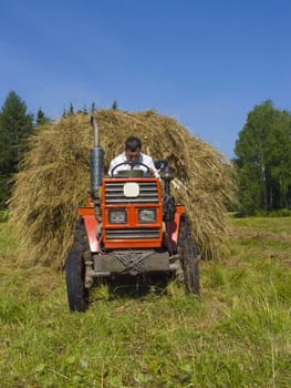 The image of preparation of hay peasants in Siberia