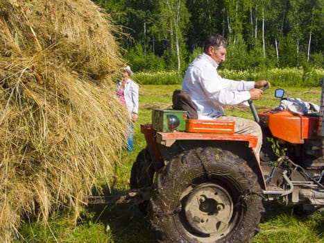 The image of preparation of hay peasants in Siberia