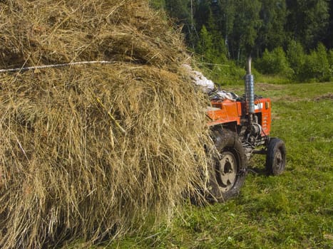 The image of preparation of hay peasants in Siberia