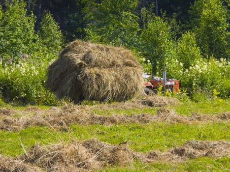 The image of preparation of hay peasants in Siberia