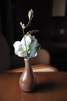 vase flower in soft window light, Hotel Einhoven