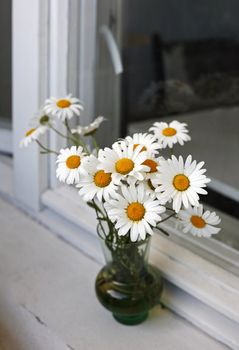 Bouquet of camomiles on a window sill