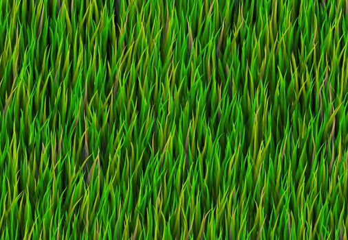 Green Grass Patch Abstract Background Pattern Texture