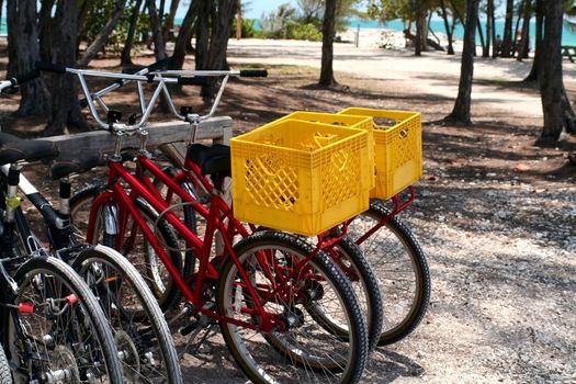Two bicycles with yellow baskets parked with other bikes.
