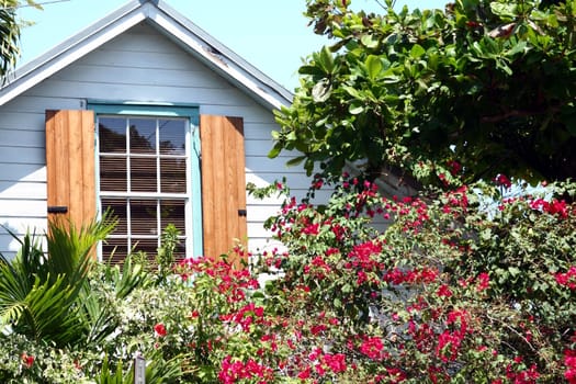 A window in Key West with tropical foliage.