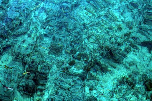 Very textured and wavy blue liquid with grass floating on the surface/