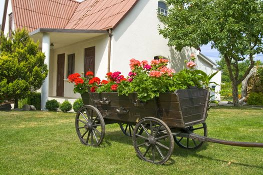 Yard's decoration. A waggon with wooden wheels and with flowers in bloom