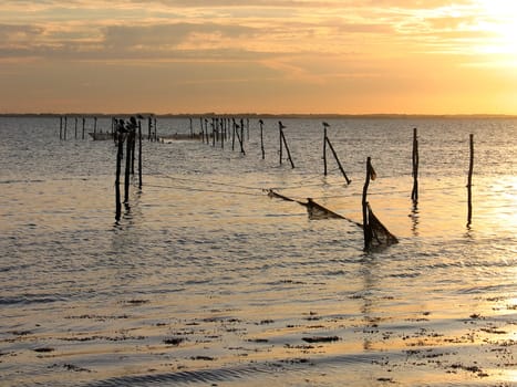 Seagulls stand on fishing nets poles in the sunset