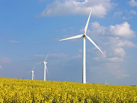 Environmental friendly alternative energy by wind turbines in rapes field