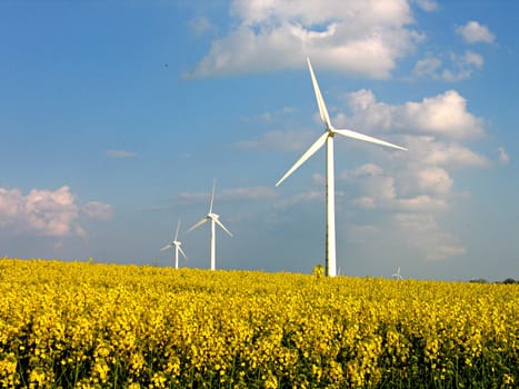 Environmental friendly alternative energy by wind turbines in rapes field