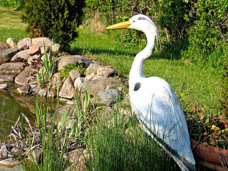 King fisher bird next to a decorative home garden pond