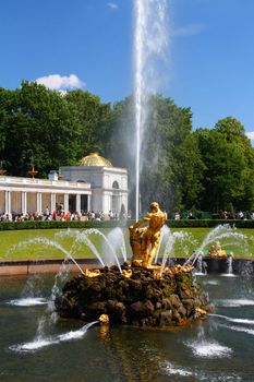 Samson fountain in petergof park Saint Petersburg Russia