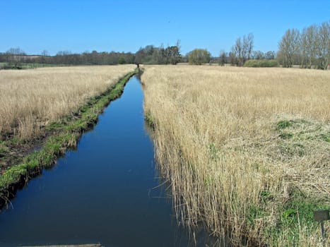 Small river stream between fields