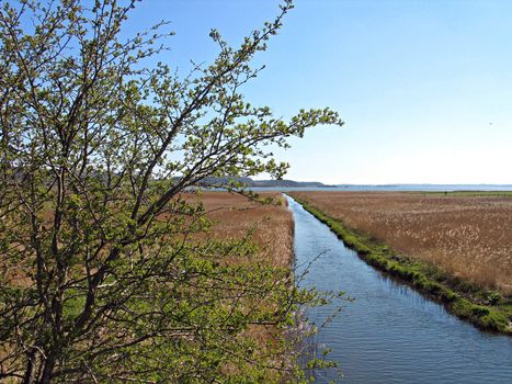 Small river stream between fields flows into the sea