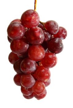 wet grape berry bunch isolated on white