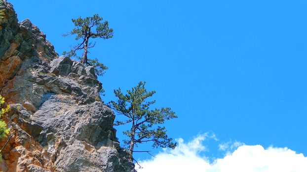 Rock with trees on a background sky and clouds in summer in Crimea