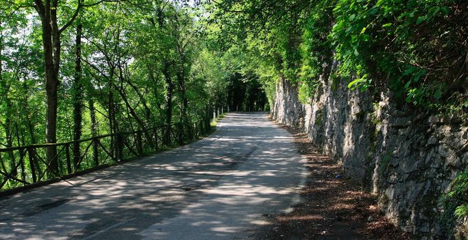 Forest way near Garda lake