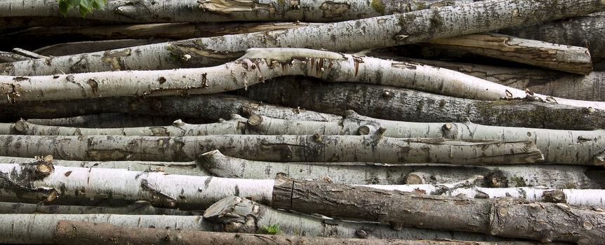 Stacked logs background texture 