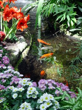 Fish swim over tossed coins in a garden.