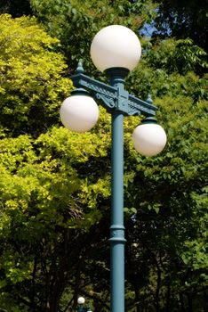 A light post with three lights on it shot against a green tree