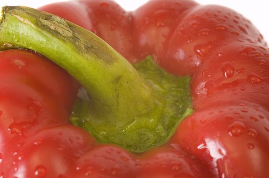 macro on fresh red pepper detail