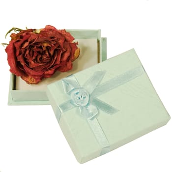 A dried rose inside of a small gift box, isolated against a white background