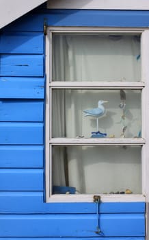 The window of a blue and white painted wooden beach hut. Seaside objects adorn the inside of the window. Located in Christchurch, Dorset Hampshire UK.