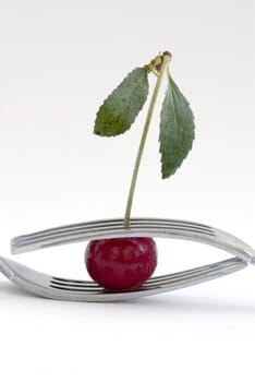 wet cherry with two fork over white background