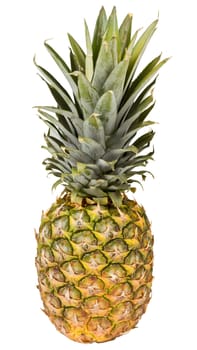A ripe pineapple isolated on a white background