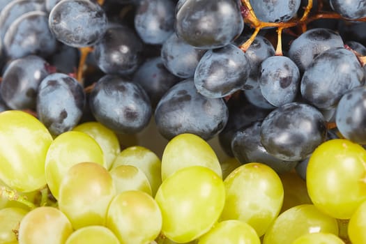 Grapes are two different kinds of close-up
