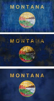 Great Image of the Flag of Montana