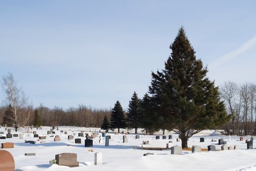 A haunted cemetery in the middle of winter