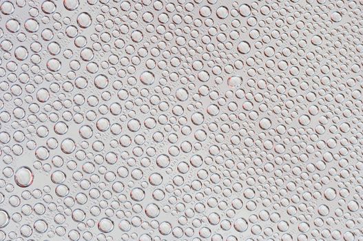 Abstract macro - close-up of the blebs
